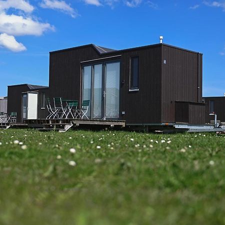 Tiny House Nature 8 Innenlage - Green Tiny Village Harlesiel Carolinensiel Extérieur photo